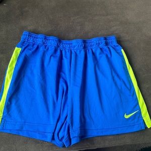 DRI-FIT Nike women’s shorts (L)